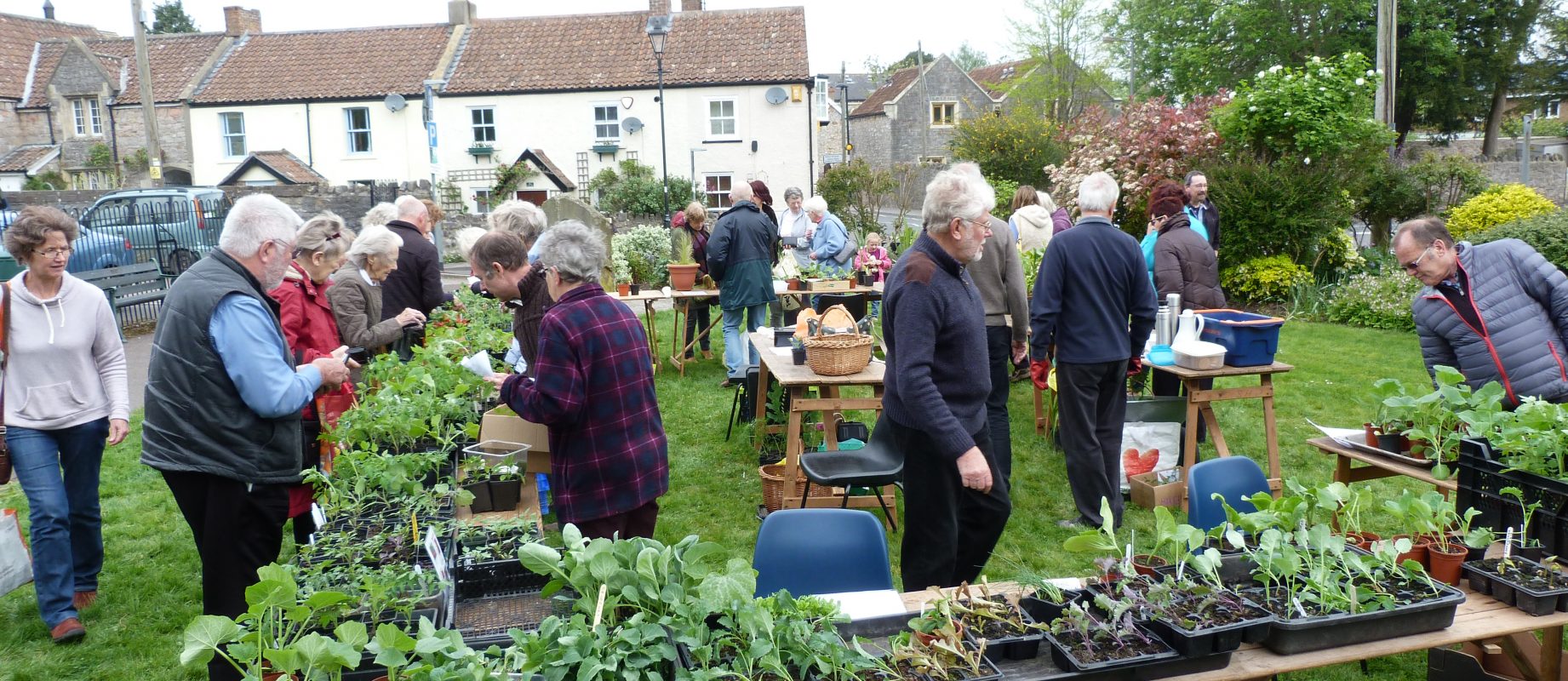 An Invitation to Join – Yatton Horticultural Society